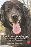 Pet Photography 101: Tips for taking better photos of your dog or cat