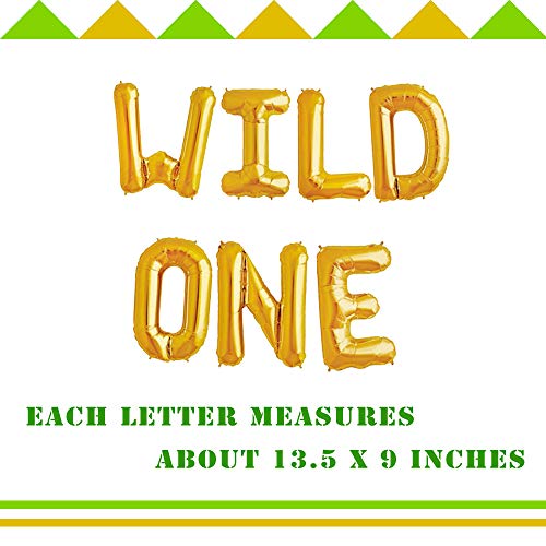 Wild One First Birthday Balloon Decoration Kit, 1st Boy Girl Theme Bday Party Banner Decoration Set