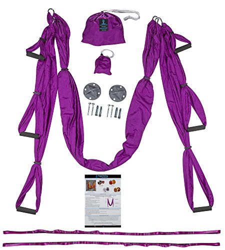 Aerial Yoga Trapeze Swing - Anti-Gravity Home/Indoor/Outdoor Silk Hammock - Sling Inversion Tool - Extension Straps, Hardware INCLUDED for Concrete and Wood