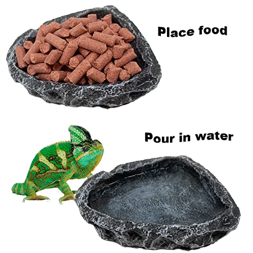 Reptile Water Dish Food Bowls, Pack Reptile Feeding Dish Corner
