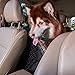 INNX Pet Barrier Safety Net Dog Barrier-OP102008 (2019 Popular Design) Universal for Cars, Jeeps, Trucks, Suvs, Vehicles, Dogs, Pets, Seatback, Front Seat, Heavy Duty and Portable, 11.8