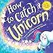 How to Catch a Unicorn by Adam Wallace, Andy Elkerton