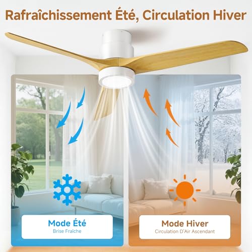 Ateroll Ventilateur de Plafond 3 Pales en ABS Ø132cm, Ventilateur Plafond Moderne 3 Températures LED (3000K-6500K), Télécommande Dimmable 6 Vitesses & Minuterie pour Chambre, Salon & Balcon