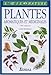 Plantes aromatique et médicinales by