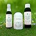Silver Shield Deodorant - Sensitive Skin Formula - Floral Scent - Spray-on Version, All Natural Colloidal Silver Deodorant, 2 oz.