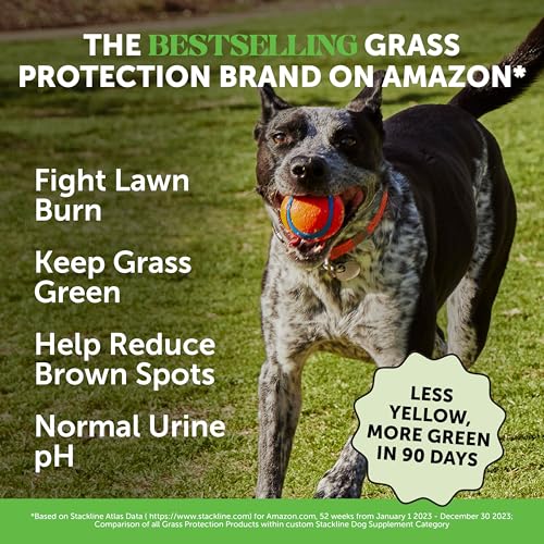 GRASS GREEN DOG CHEWS – URINE NEUTRALIZER FOR LAWN, DOG PEE GRASS HELPS YARD STAY GREEN ADDRESSING BURN SPOTS WITH PROBIOTICS & ENZYMES (TURKEY)