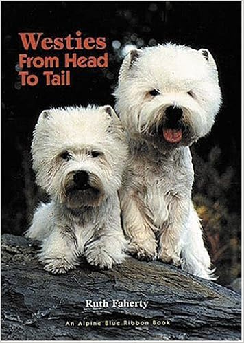Westies: From Head to Tail �n�[�h�J�o�[  - 2000/12