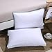 Homelike Moment Goose Feather Down Pillows for Sleeping 2 Pack Bed Pillow King Size Pillows Set of 2 Hypoallergenic Gusseted