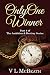 Only One Winner: Part 4 of The Ambition & Destiny Series. A Historical Family Saga. by VL McBeath