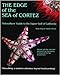 The Edge of the Sea of Cortez: Tidewalker's Guide to the Upper Gulf of California by