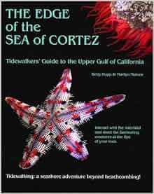The Edge Of The Sea Of Cortez Tidewalker S Guide To The