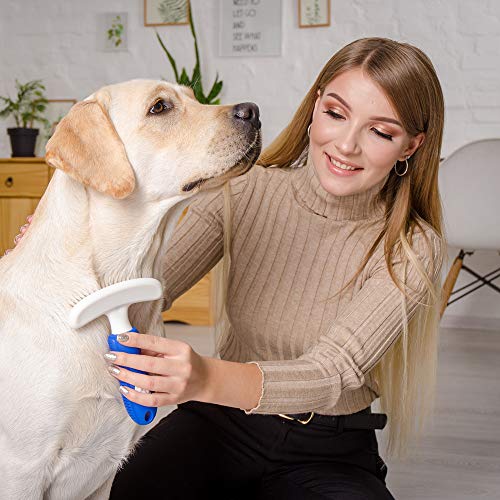 Premium Dog Brush Set by Horicon Pet Interchangeable Dog Grooming