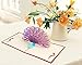 2 Pack 3D Pop Up Cards, Wimaha Peacock Thank You Card Greeting Cards in Chinese Paper Cutting Creative Pop-up Cards,15cm x 15cm