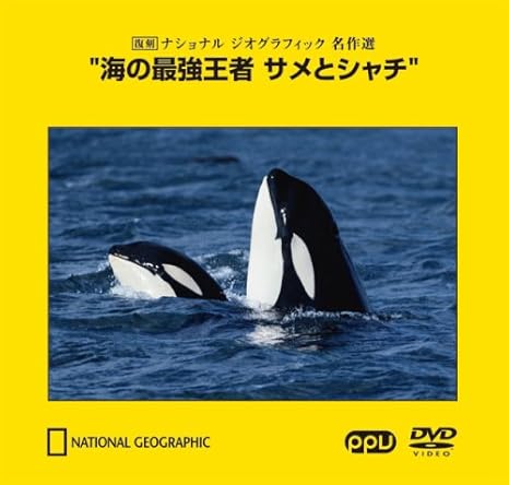 Amazon Co Jp 海の最強王者 サメとシャチ 復刻 ナショナル ジオグラフィック 名作選 Ppv Dvd Dvd ブルーレイ