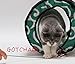 CAT1st Ninja Cat Tunnel Best Cat Toy, Green