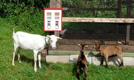 1 Tierfutterautomat Automat braun/beige für Fischfutter Wildfutter Ziegenfutter Pferdefutter Kamelfutter usw.