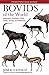 Bovids of the World: Antelopes, Gazelles, Cattle, Goats, Sheep, and Relatives (Princeton Field Guides)