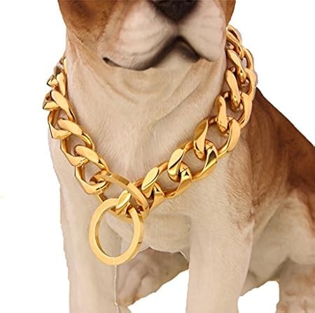 dog chain chain