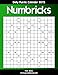 Daily Numbricks Puzzle Calendar 2015 (Daily Puzzle Calendar 2015) by