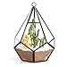 NCYP Mini Wall Hanging Glass Terrarium, 4.5 x 4.5 x 5.3 inches Diamond Shape Geometric Terrarium for Succulent Plant, Desktop Decor, Mini Centerpiece, Modern (Plants Not Included)