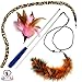 Pet Fit For Life 3 Piece Dual Rod Feather Teaser and Exerciser with a Slithering Snake for Kitten and Cats - Cat Toy Interactive Cat Wand