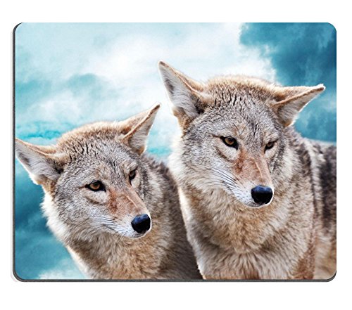 MSD Customized Natural Rubber Mouse Pad Personalized Custom Picture Coyote pair against the blue winter sky Animals in the wild 18975098