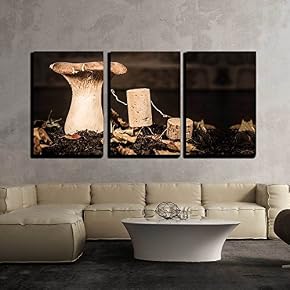 Concept Explaining Fungal Knowledge with Wine Cork Figure x3 Panels