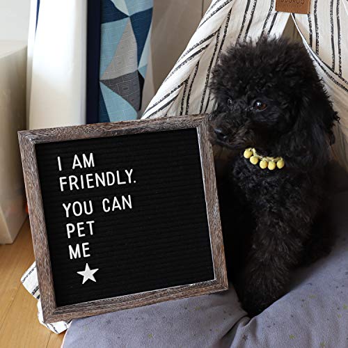 5 inches+Pre+Cut+Additional+Scissors+whoaon