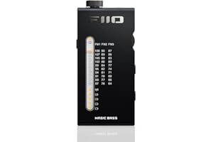 FiiO RR11 Portable HiFi FM Stereo Radio Receiver with Analog PVR Tuning, BASS+3D Sound Effects, 64MHz-108MHz (Black, Hi-Res Audio Certified)