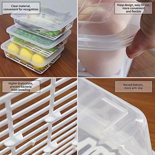 77L Food Storage Container, (3-Pack) Plastic Food Containers with Removable Drain Plate and Lid, Stackable Portable Freezer Storage Containers - Tray to Keep Fruits, Vegetables, Meat and More