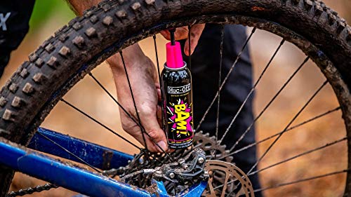 How To Maintain a Bicycle?