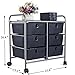 EaseOffice 6-Drawer Rolling Storage Cart with Heavy Duty Chrome Steel Frame for Home, Office, Beauty Salon and More, Black