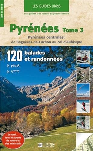 Download Pyrénées : Tome 3, Pyrénées centrales : de Bagnère-de-Luchon au col d'Aubisque PDF