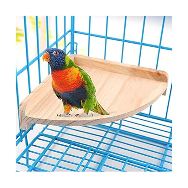 MQUPIN - Trespolo in legno per uccelli piccoli, per parrocchetti, cocorite, pappagallini, adatta anche per criceti…