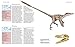 Dinosaurus: The Complete Guide to Dinosaurs