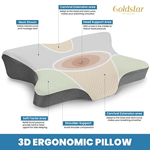 Indulgence Cervical Memory Foam Pillow Contour Pillow with