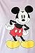 Disney Plus Size Womens T-Shirt Mickey Mouse Standing Smile Print (Lilac, 1X)
