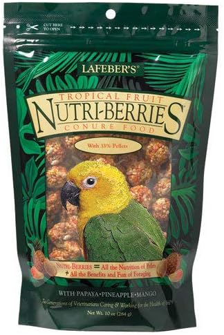 LAFEBER'SNB Tropical NutriBerries Conure 4 pk 10 oz