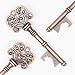 50 Key Bottle Openers, Assorted Vintage Skeleton Keys, Wedding Party Favors (50, Antique Copper)