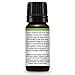 Plant Therapy Catnip Essential Oil 100% Pure, Undiluted, Natural Aromatherapy, Therapeutic Grade 10 mL (1/3 oz)