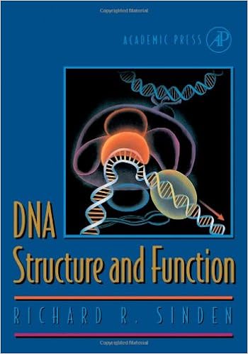 Dna Structure And Function Sinden Richard R Amazon De Bucher