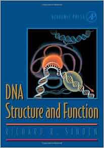 Dna Structure And Function 9780126457506 Medicine