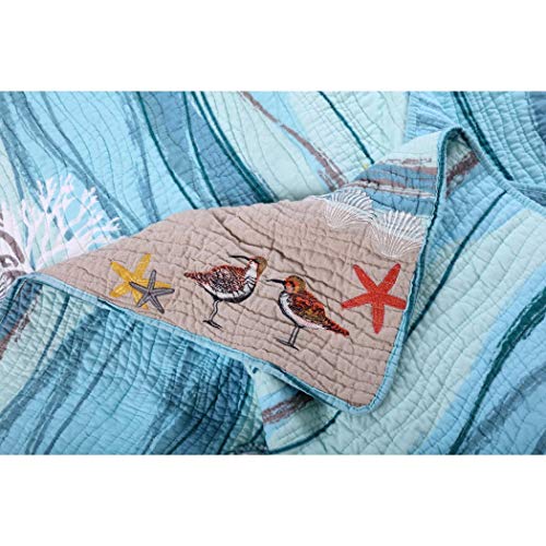 513MDUkoFJL 513MDUkoFJL