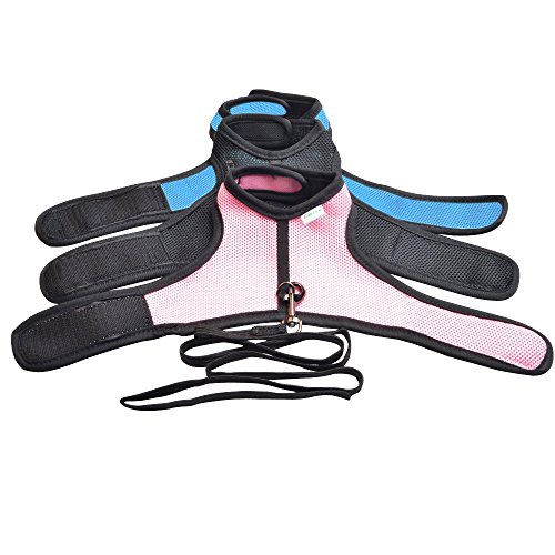 6 Calunce+Rabbits+Harness+Elastic+Leash