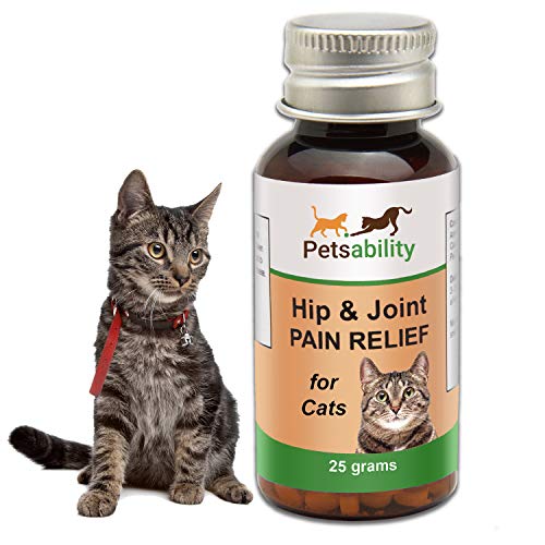 Top 10 Cat Arthritis Pain Medications of 2019 Best