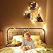 Decute 500LED 164ft Fairy String Lights Christmas Lights Indoor Outdoor Silver Wire with Remote, Firefly Lights Starry for DIY Christmas Tree Costume Wedding Party Table Centerpiece Decor(Warm White)
