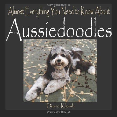 Almost Everything You Need to Know About Aussiedoodles