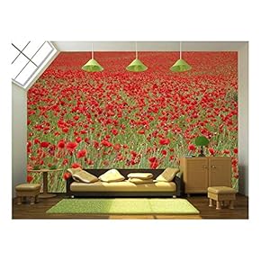 an Entire Fields of Wonderful Red Poppies - Removable Wall Mural | Self-Adhesive Large Wallpaper - 66x96 inches