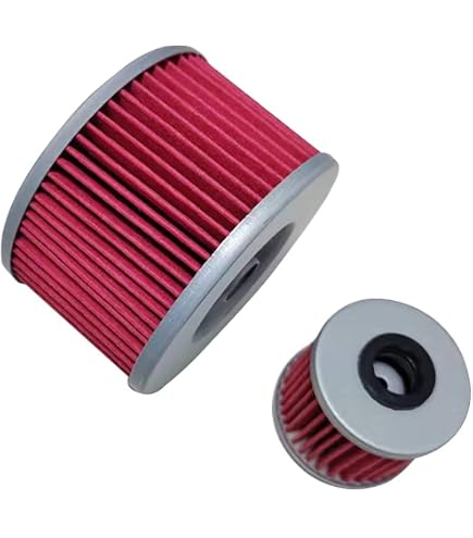 confezione da 2 Motocicletta Filtro Olio per TRX420FM1 FOURTRAX