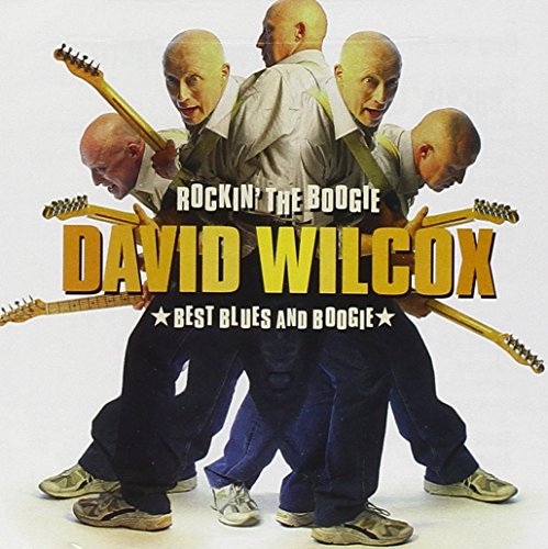 DAVID WILCOX - Rockin